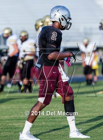 Thumbnail 2 in Mitchell @ Wiregrass Ranch photogallery.