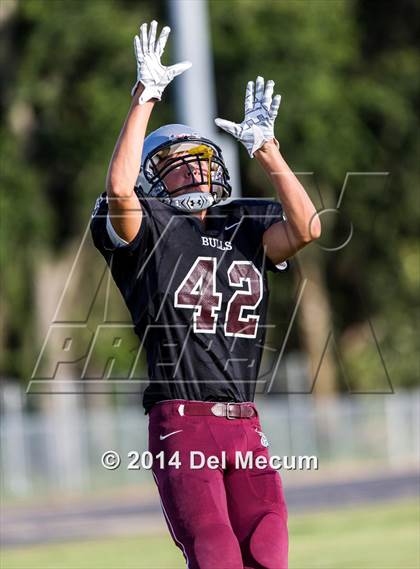 Thumbnail 1 in Mitchell @ Wiregrass Ranch photogallery.