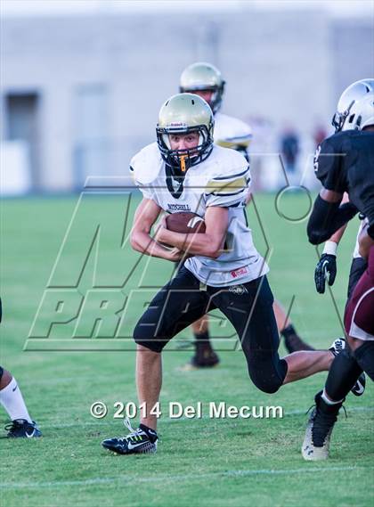 Thumbnail 3 in Mitchell @ Wiregrass Ranch photogallery.
