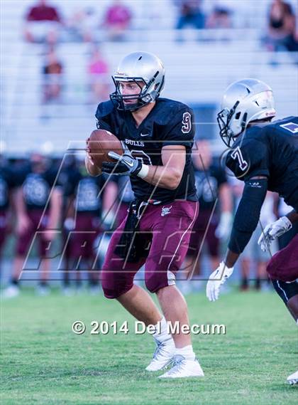 Thumbnail 3 in Mitchell @ Wiregrass Ranch photogallery.