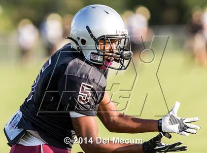 Thumbnail 3 in Mitchell @ Wiregrass Ranch photogallery.