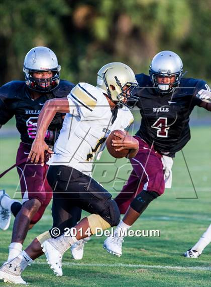 Thumbnail 1 in Mitchell @ Wiregrass Ranch photogallery.