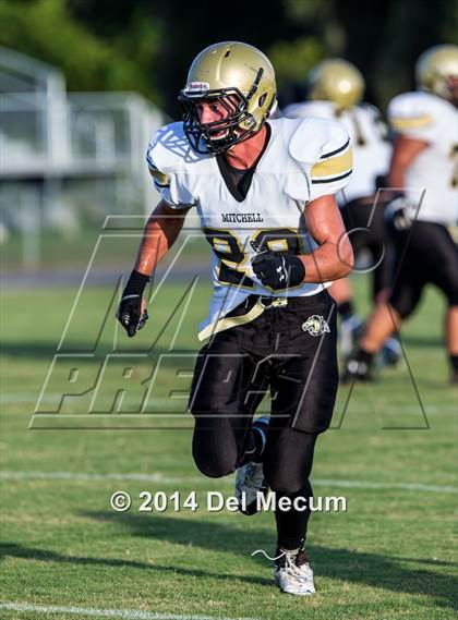 Thumbnail 2 in Mitchell @ Wiregrass Ranch photogallery.