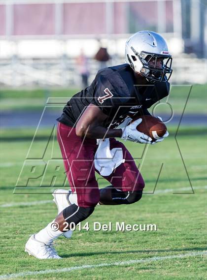 Thumbnail 1 in Mitchell @ Wiregrass Ranch photogallery.
