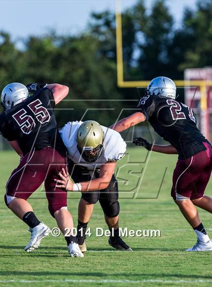 Thumbnail 2 in Mitchell @ Wiregrass Ranch photogallery.