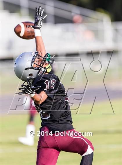 Thumbnail 2 in Mitchell @ Wiregrass Ranch photogallery.