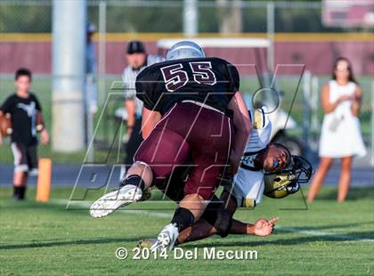 Thumbnail 3 in Mitchell @ Wiregrass Ranch photogallery.