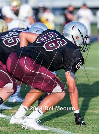 Thumbnail 1 in Mitchell @ Wiregrass Ranch photogallery.