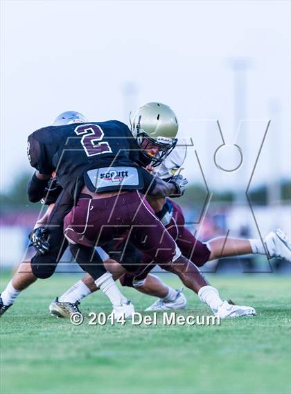 Thumbnail 3 in Mitchell @ Wiregrass Ranch photogallery.