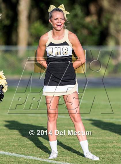 Thumbnail 2 in Mitchell @ Wiregrass Ranch photogallery.