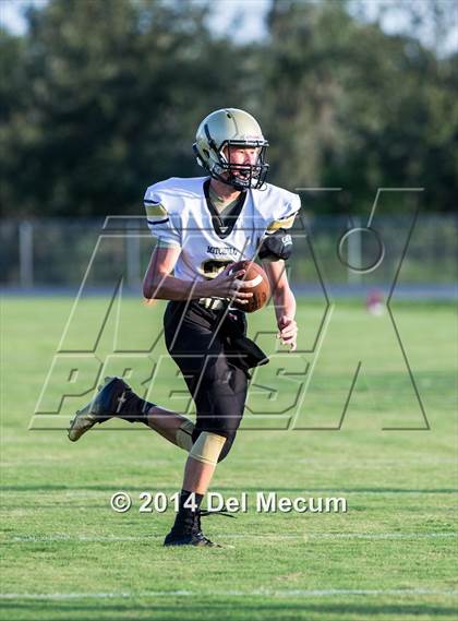 Thumbnail 3 in Mitchell @ Wiregrass Ranch photogallery.