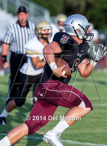 Thumbnail 3 in Mitchell @ Wiregrass Ranch photogallery.