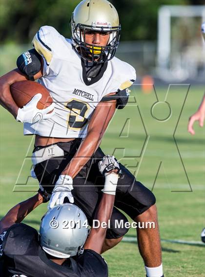 Thumbnail 3 in Mitchell @ Wiregrass Ranch photogallery.