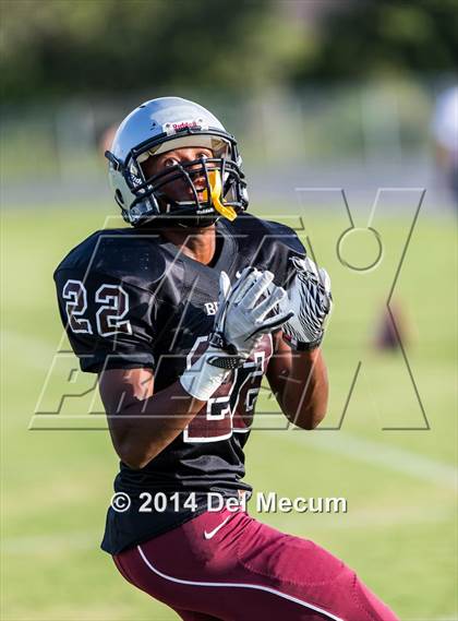 Thumbnail 2 in Mitchell @ Wiregrass Ranch photogallery.