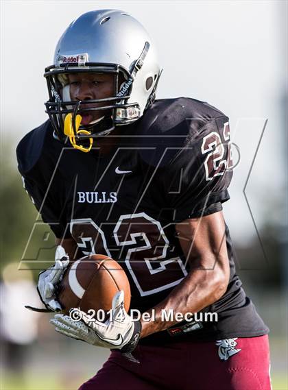 Thumbnail 1 in Mitchell @ Wiregrass Ranch photogallery.