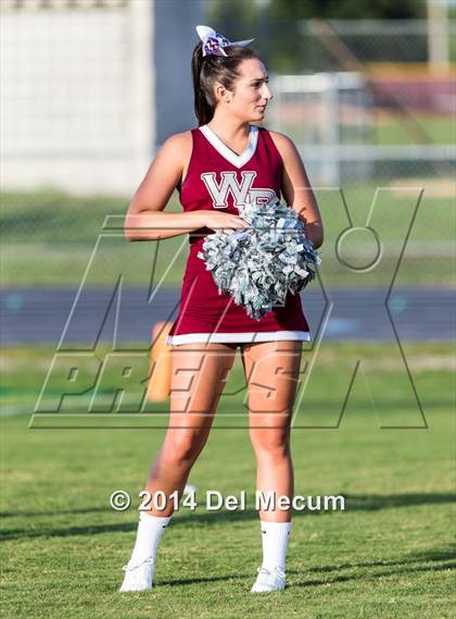 Thumbnail 1 in Mitchell @ Wiregrass Ranch photogallery.