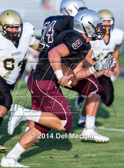Thumbnail 2 in Mitchell @ Wiregrass Ranch photogallery.