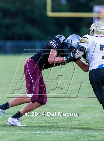 Thumbnail 3 in Mitchell @ Wiregrass Ranch photogallery.