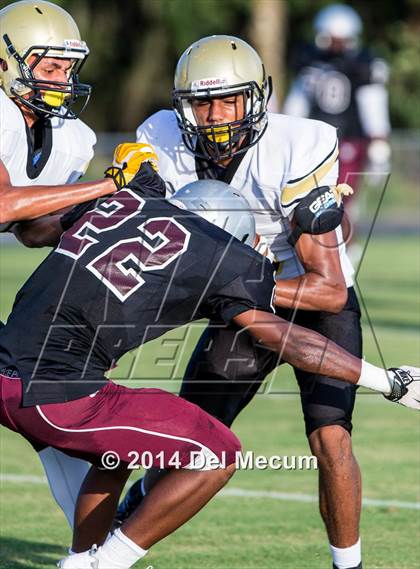 Thumbnail 3 in Mitchell @ Wiregrass Ranch photogallery.