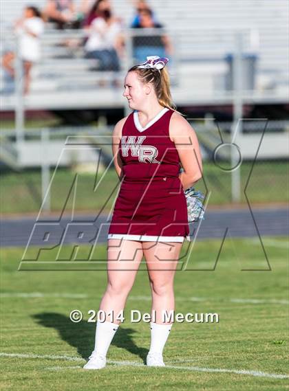 Thumbnail 1 in Mitchell @ Wiregrass Ranch photogallery.