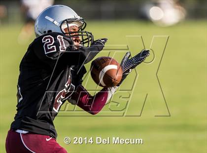 Thumbnail 3 in Mitchell @ Wiregrass Ranch photogallery.