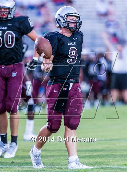 Thumbnail 3 in Mitchell @ Wiregrass Ranch photogallery.