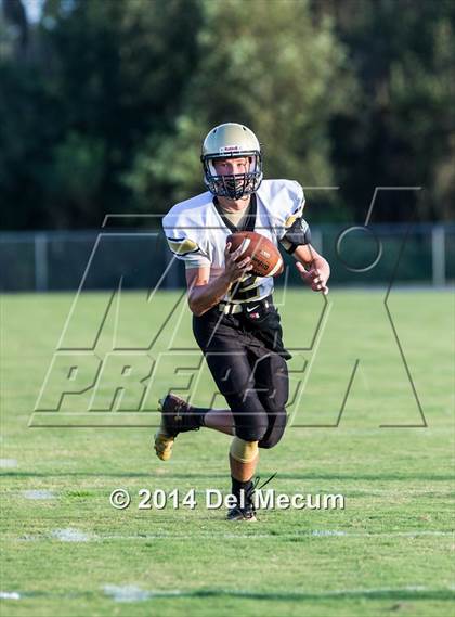 Thumbnail 1 in Mitchell @ Wiregrass Ranch photogallery.