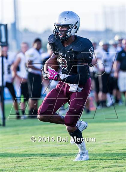 Thumbnail 2 in Mitchell @ Wiregrass Ranch photogallery.