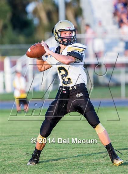 Thumbnail 3 in Mitchell @ Wiregrass Ranch photogallery.
