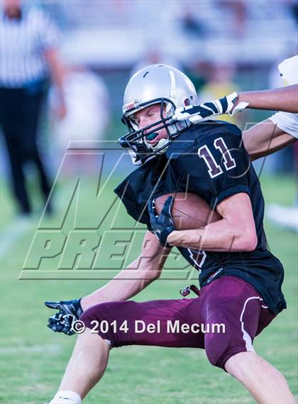 Thumbnail 2 in Mitchell @ Wiregrass Ranch photogallery.