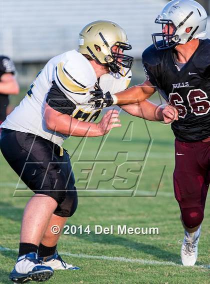Thumbnail 2 in Mitchell @ Wiregrass Ranch photogallery.