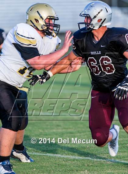 Thumbnail 3 in Mitchell @ Wiregrass Ranch photogallery.
