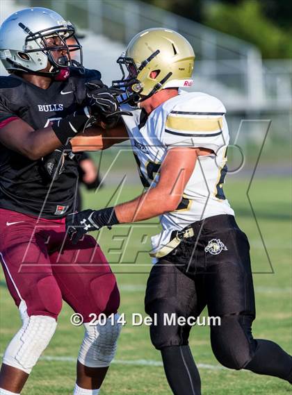 Thumbnail 2 in Mitchell @ Wiregrass Ranch photogallery.