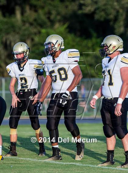 Thumbnail 1 in Mitchell @ Wiregrass Ranch photogallery.