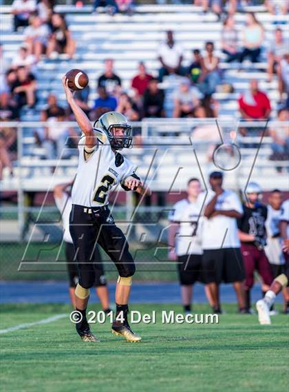 Thumbnail 3 in Mitchell @ Wiregrass Ranch photogallery.