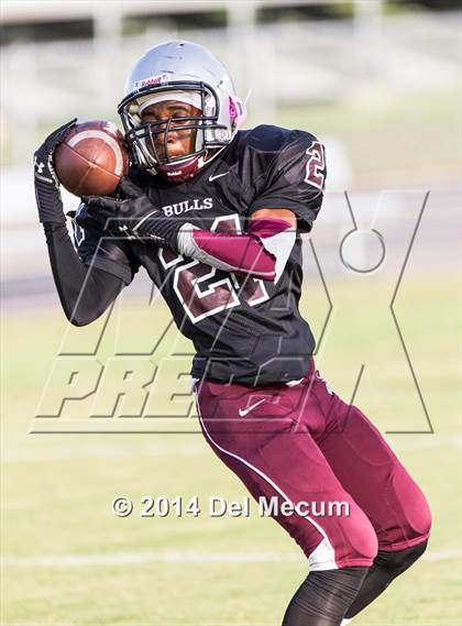 Thumbnail 1 in Mitchell @ Wiregrass Ranch photogallery.