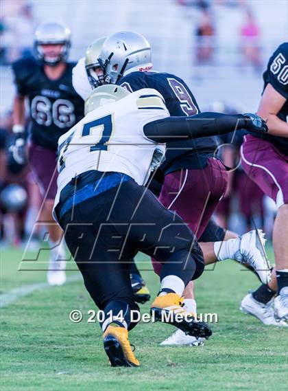Thumbnail 2 in Mitchell @ Wiregrass Ranch photogallery.