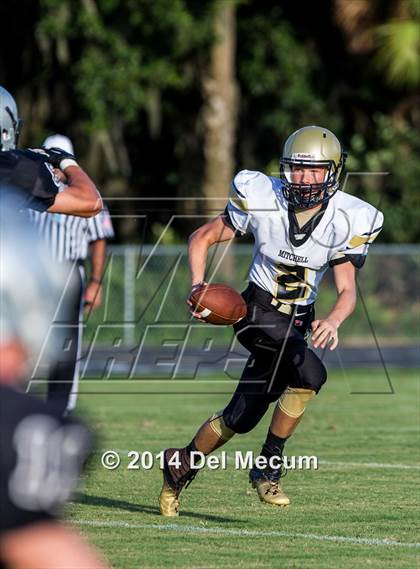 Thumbnail 2 in Mitchell @ Wiregrass Ranch photogallery.