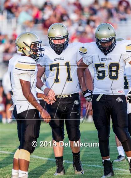 Thumbnail 1 in Mitchell @ Wiregrass Ranch photogallery.