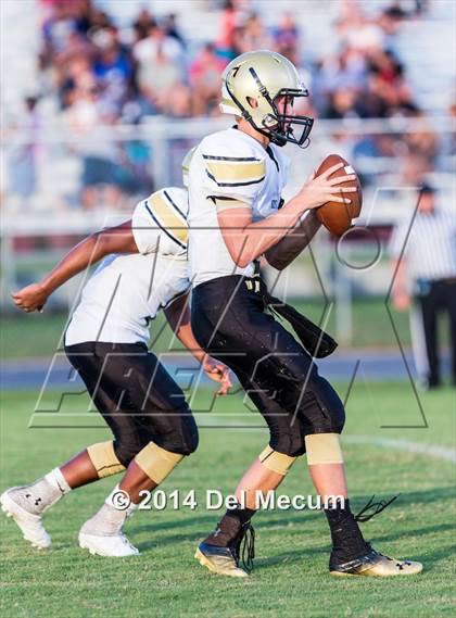 Thumbnail 1 in Mitchell @ Wiregrass Ranch photogallery.