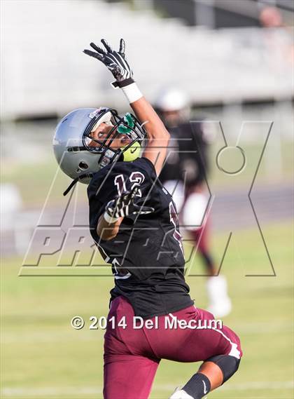 Thumbnail 1 in Mitchell @ Wiregrass Ranch photogallery.