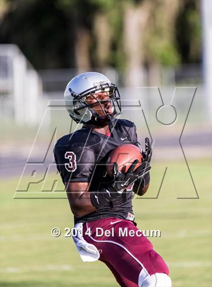 Thumbnail 2 in Mitchell @ Wiregrass Ranch photogallery.