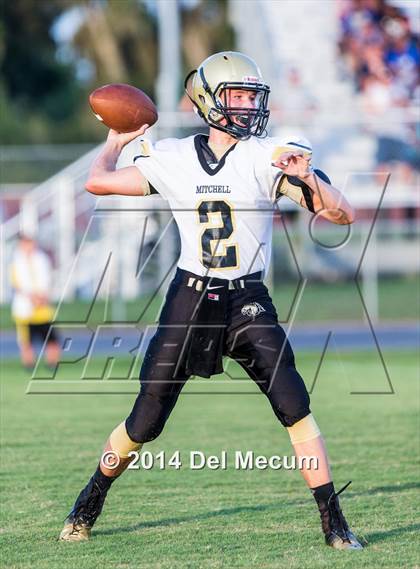 Thumbnail 3 in Mitchell @ Wiregrass Ranch photogallery.