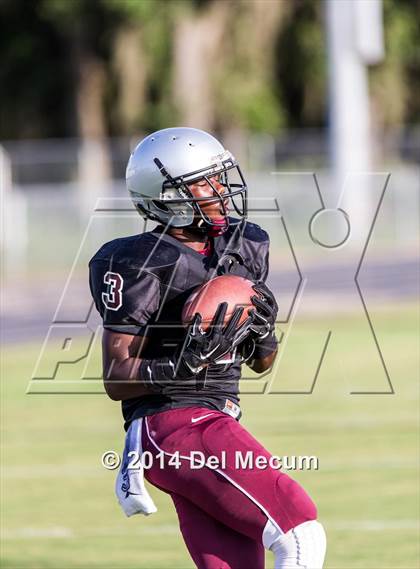 Thumbnail 3 in Mitchell @ Wiregrass Ranch photogallery.