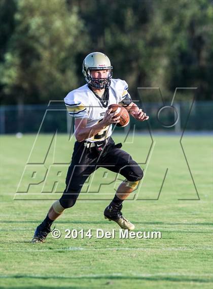 Thumbnail 2 in Mitchell @ Wiregrass Ranch photogallery.