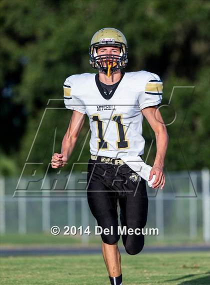 Thumbnail 1 in Mitchell @ Wiregrass Ranch photogallery.