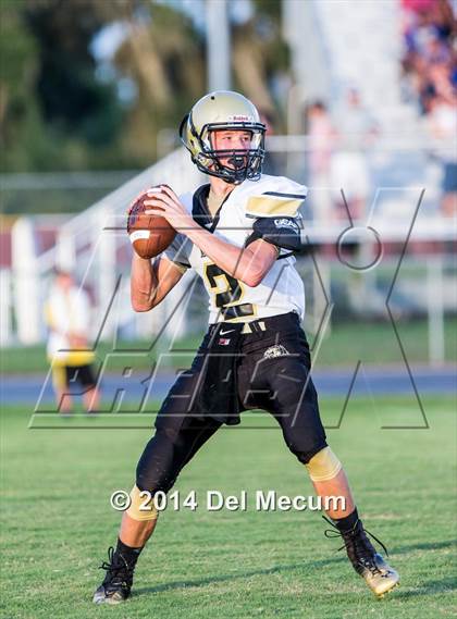 Thumbnail 2 in Mitchell @ Wiregrass Ranch photogallery.