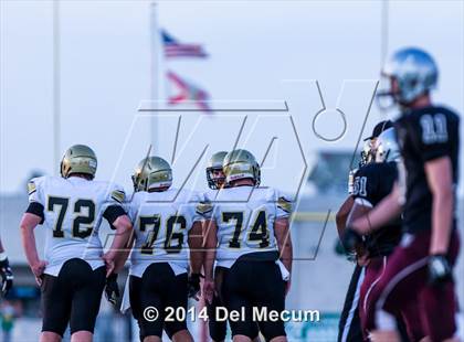 Thumbnail 3 in Mitchell @ Wiregrass Ranch photogallery.