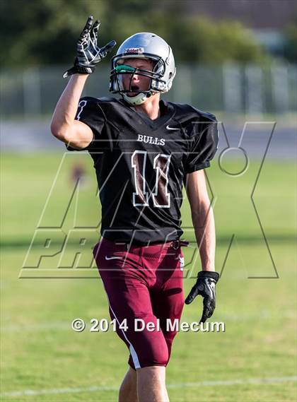 Thumbnail 3 in Mitchell @ Wiregrass Ranch photogallery.