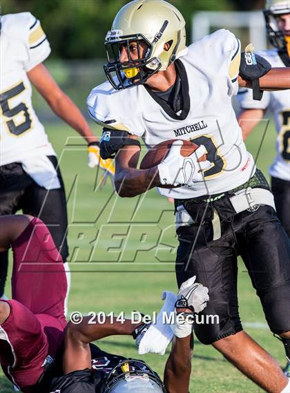 Thumbnail 3 in Mitchell @ Wiregrass Ranch photogallery.